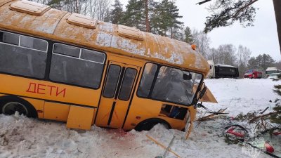 Под Псковом 12 человек пострадали в ДТП со школьным автобусом