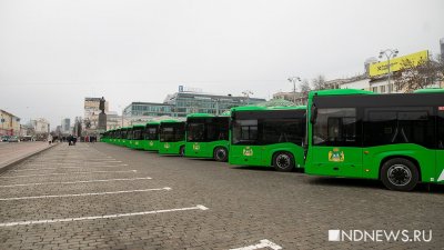На окраинах Екатеринбурга появились новые зеленые автобусы