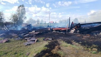 МЧС: в Артинском районе сгорело 10 домов, пожар локализован
