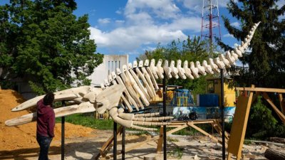 Фестиваль песочной скульптуры вновь вернут к жизни в Челябинске