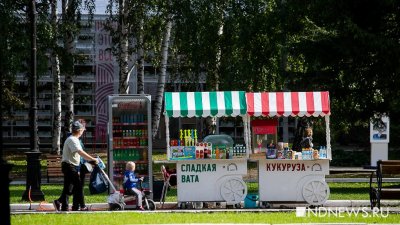 Космос, Толкиен, музыка и спорт: как в Екатеринбурге отметят День защиты детей