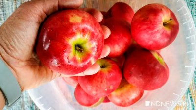 Россия заместит погибший из-за заморозков урожай яблок за счет импорта