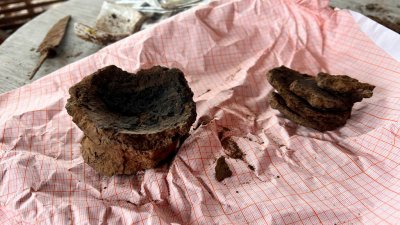 Археологи нашли в салехардской мерзлоте артефакты меднокаменного века