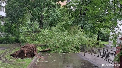 Ураган в Москве: число пострадавших увеличилось до 35 человек