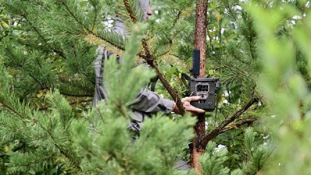 В свердловских лесах установят фотоловушки для борьбы с поджигателями
