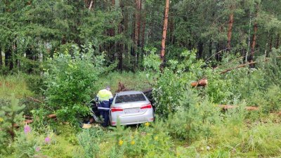 Под Невьянском «Тойота» вылетела с дороги и врезалась в дерево