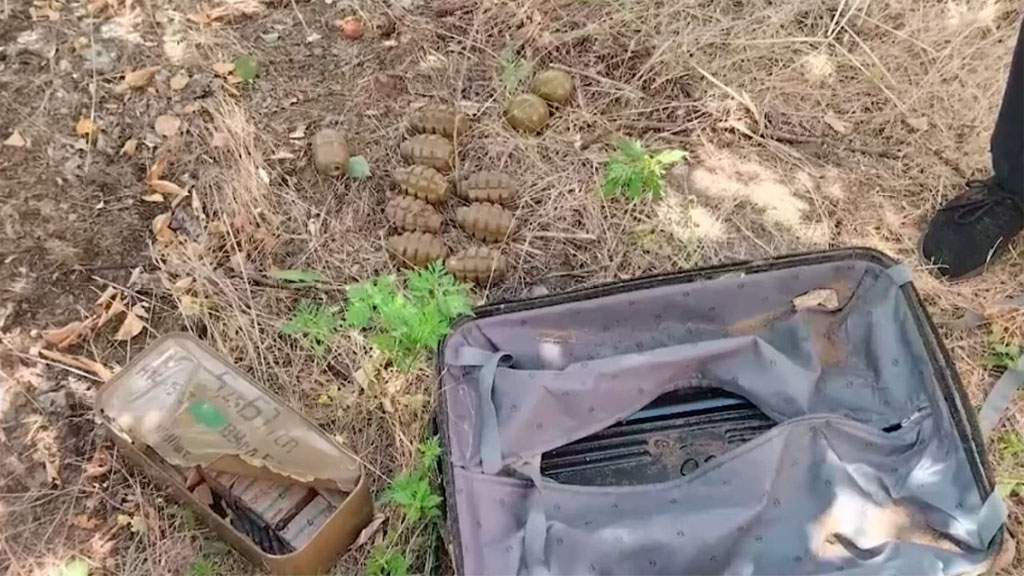 В Запорожской области мужчина нашел чемодан с гранатами и оставил боеприпасы себе