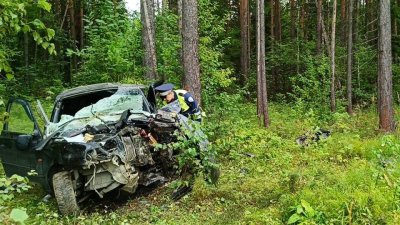 В Нижнем Тагиле утром машина влетела в дерево – водитель погиб на месте