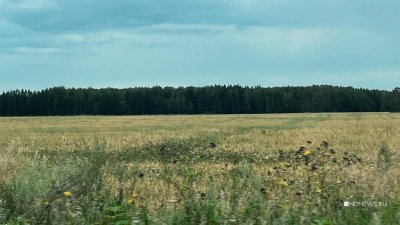 Многодетным семьям выделили землю без коммуникаций