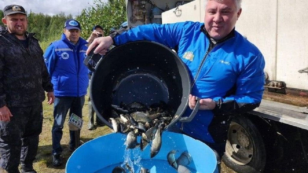 В три уральских водоема выпустят 25 тысяч мальков (ФОТО)