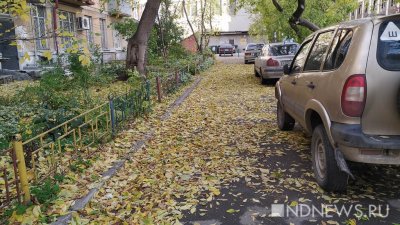 В Екатеринбурге начали убирать опавшие листья