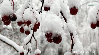 Синоптики дали подобный прогноз на каждый месяц зимы. Она будет аномальной