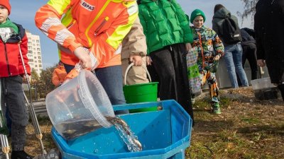 В Нижнетагильский пруд выпустили 16 тысяч мальков