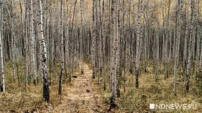 Тепло на Урале продлится еще 3 дня