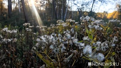 На Урале наблюдается дефицит осадков