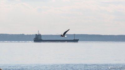 Судоверфь «Звезда» не успевает передать головной танкер для проекта «Арктик СПГ-2» до конца года