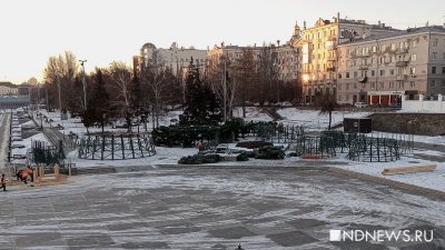 В Историческом сквере собирают главную елку города