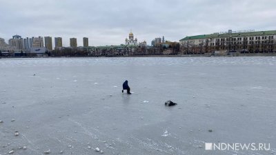 На Городском пруду поймали трех «бессмертных», которые шли по тонкому льду (ФОТО)