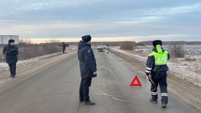 В Свердловской области водитель насмерть сбил 85-летнего пешехода