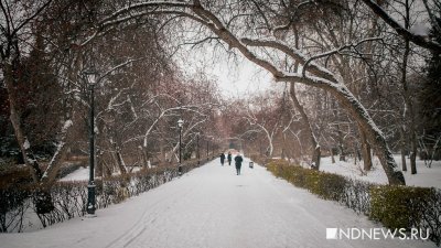 Синоптики выяснили, в каких городах уже есть снег