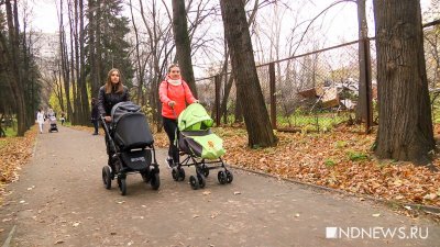 «Важно как можно больше родить детей», – Куйвашев рассказал о новых мерах поддержки семей