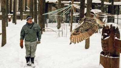 В парке «Бажовские места» устроят детский сад для филинов (ФОТО)