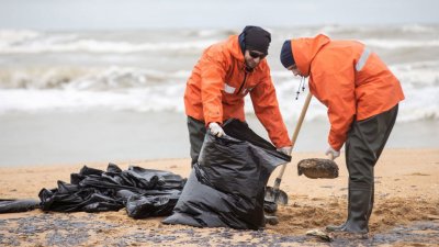 Мазутом загрязнено 49 км побережья Кубани: пляжи Анапы чистят тысячи спасателей и волонтеров