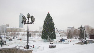 Главную елку Екатеринбурга уже собрали и нарядили