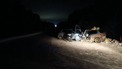 В лобовом столкновении пострадали двое мужчин и ребенок, погибла женщина (ФОТО)