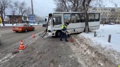 В Екатеринбурге пассажирский автобус врезался в дерево. Пострадали 4 человека