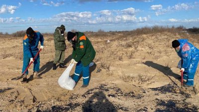 Режим ЧС федерального уровня объявят из-за разлива мазута на Кубани