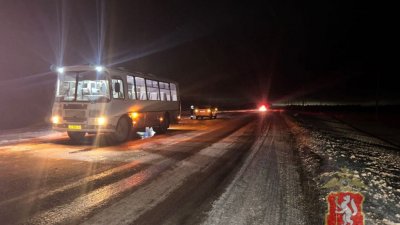 На загородном шоссе автобус сбил пешехода (ФОТО)