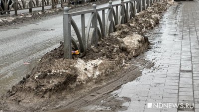 Оттепель в Екатеринбурге: коммунальщики за ночь вывезли с улиц более 4,5 тысяч тонн снега