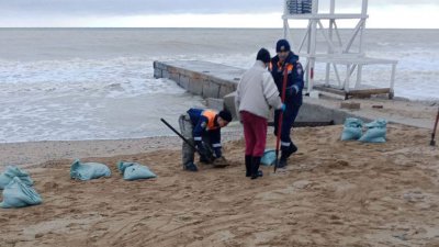 С пляжей Севастополя собрано 18 тонн загрязненного мазутом грунта