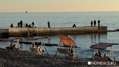 Зимними пляжами Сочи воспользовались почти полмиллиона человек