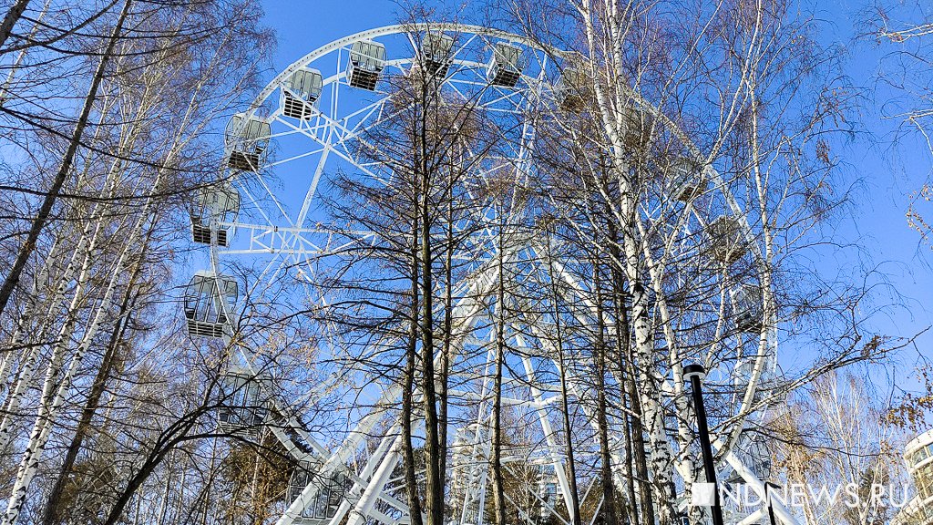 Парк Маяковского закроют на обработку от клещей