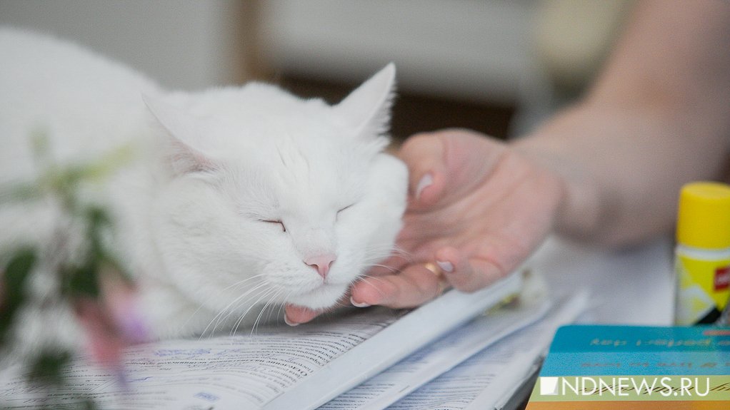 В Екатеринбург едет известный специалист по сну