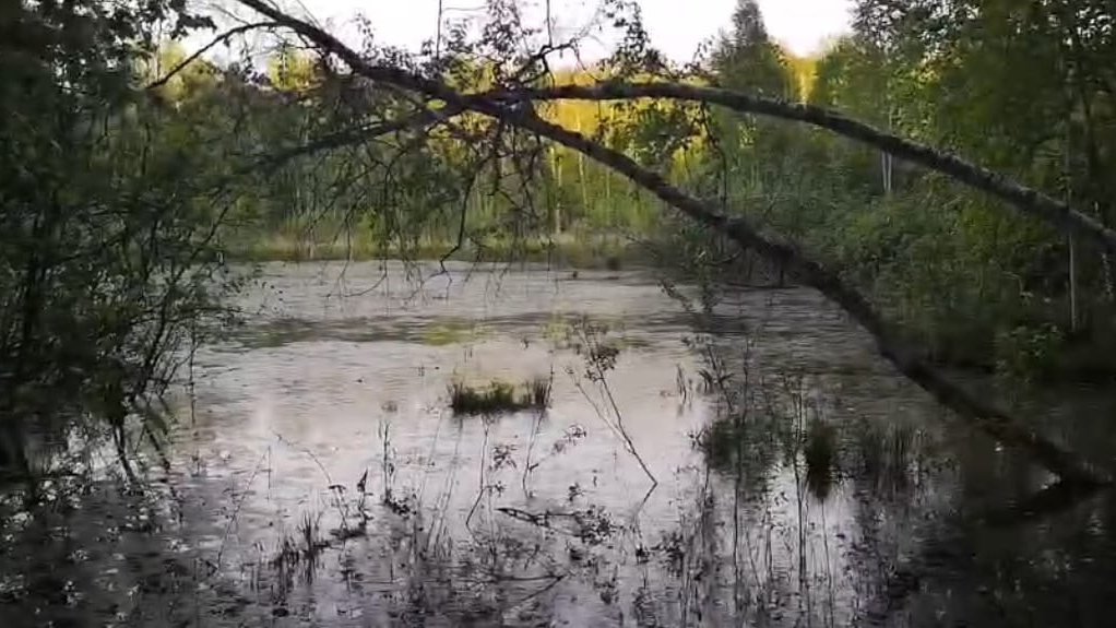 Противники мусорного полигона в Сысерти предъявили озеро, незамеченное чиновниками