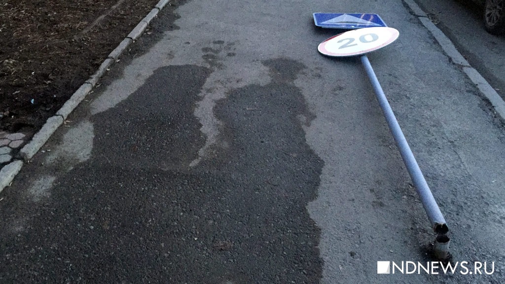 Мизулина: свердловская школьница повисла на дорожном знаке и упала, сломав челюсть