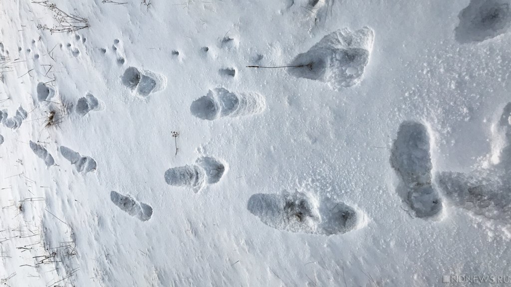 Уборщики снега пойдут под суд из-за гибели ребенка