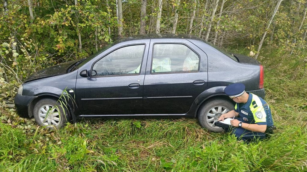 Под Туринском водитель «Рено Логан» скончался за рулем и съехал в кювет