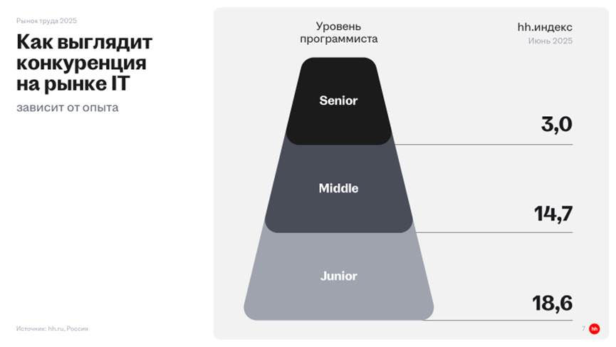 На рынке труда сложился переизбыток молодых айтишников, а опытных не хватает