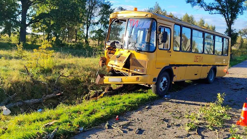 Двое детей травмированы в ДТП со школьным автобусом под Калининградом