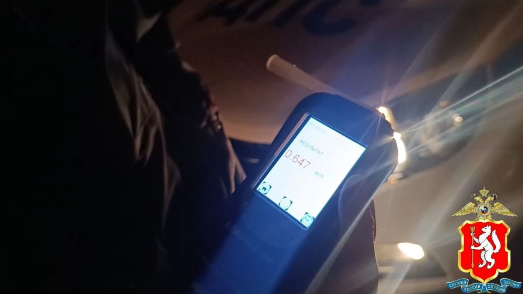 Гаишники поймали пьяного водителя, который вез в машине детей