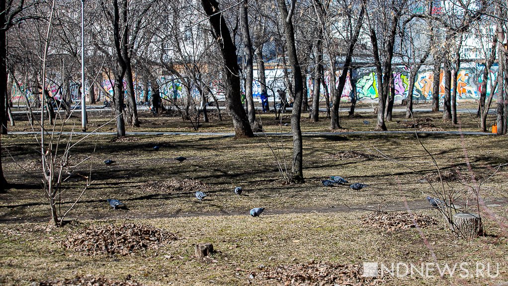 Теперь официально: в Екатеринбурге появился сквер Ильи Кормильцева