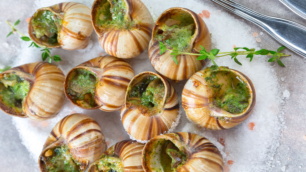 С фермы во Франции украли годовой запас мяса улиток стоимостью более 110 тысяч евро