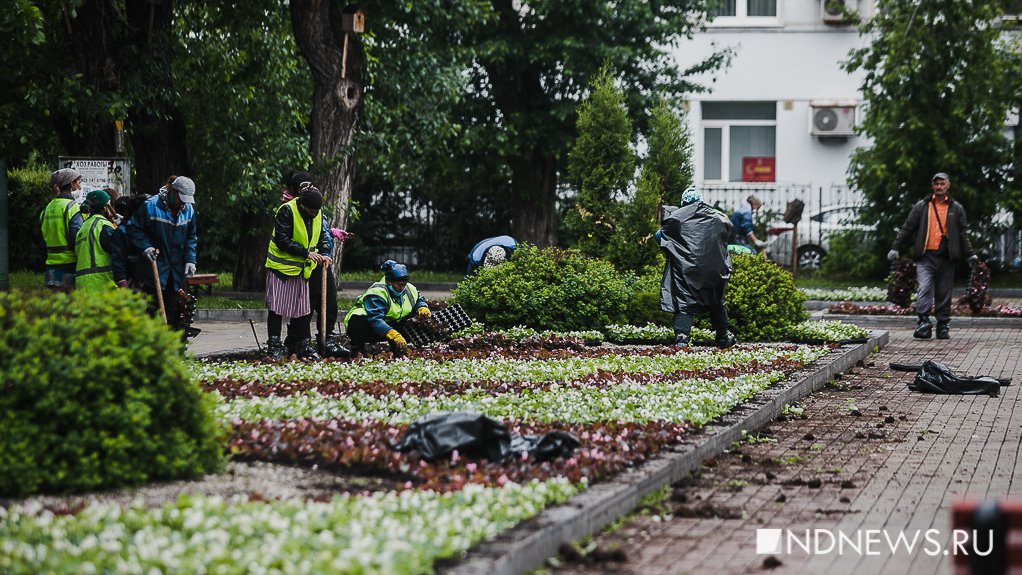 Сотрудникам лесничества, Зеленстроя и ВОИС повысят зарплаты на 30%