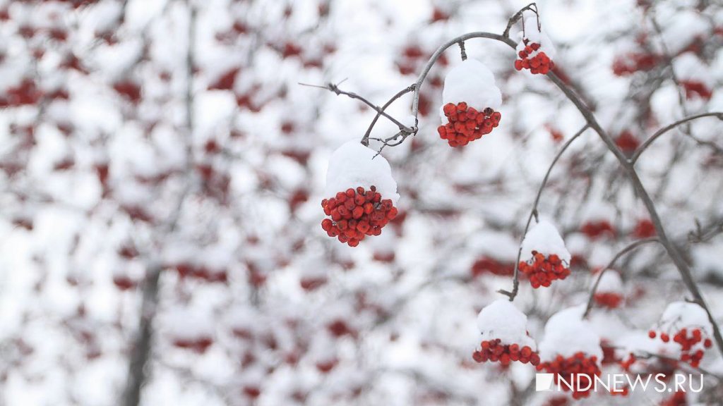 На Урал идет новое похолодание