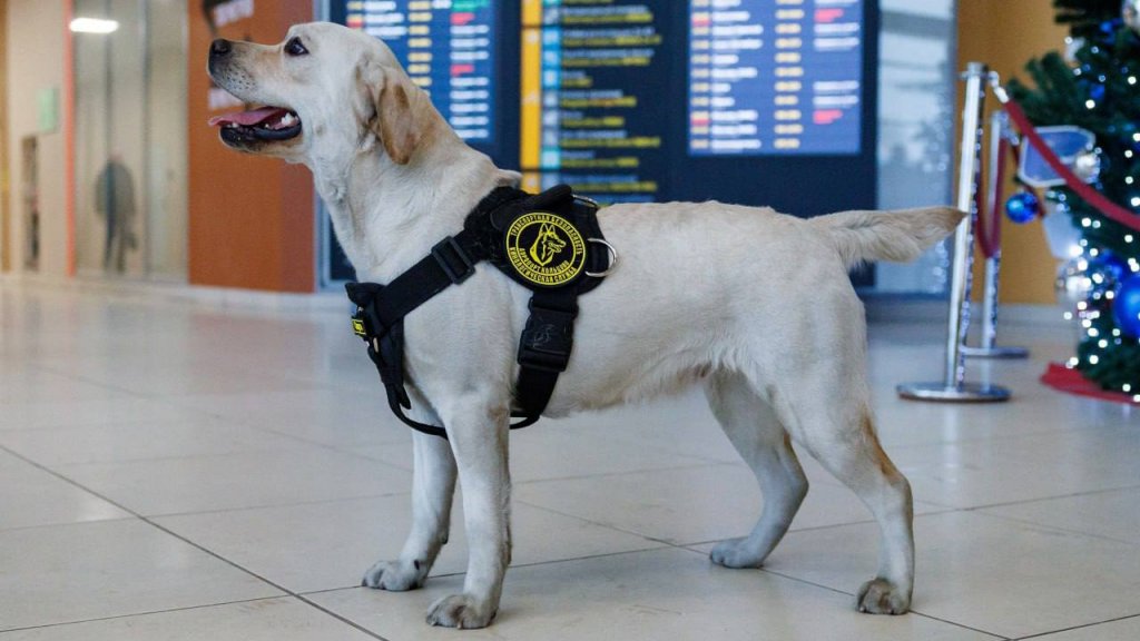 ��������&nbsp; �������� ������� ������ � ��������� ������� �� ���� �����