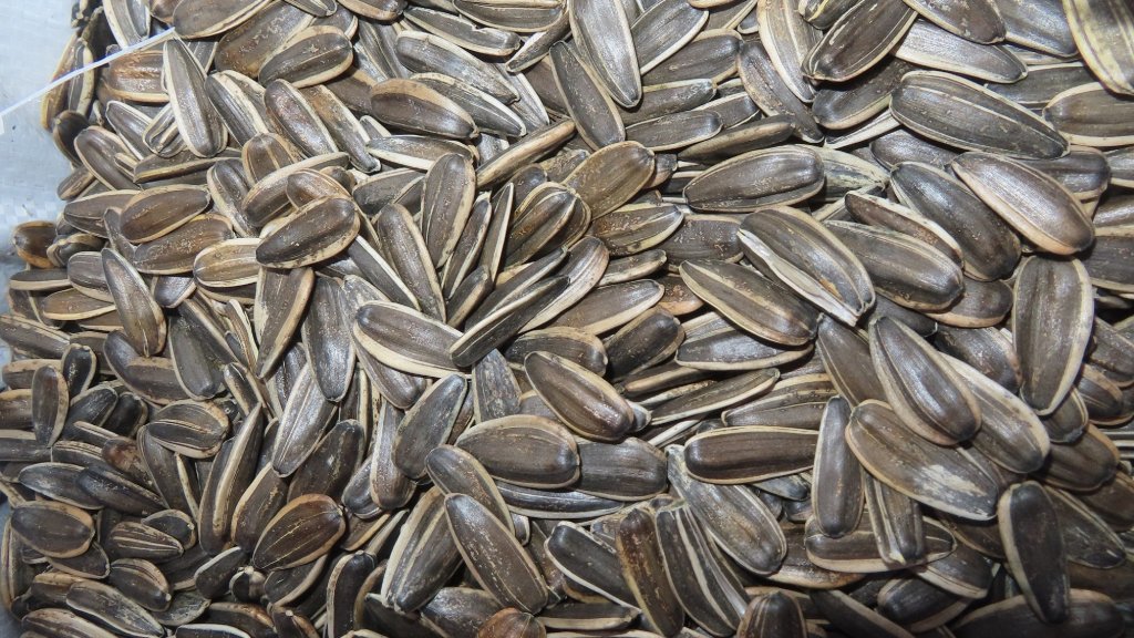 2,5&nbsp; ������ ���� ��������� ������� �������� �� ����